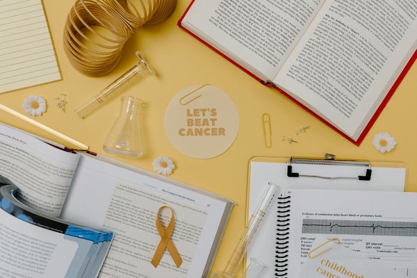 What are the UK's plans for enhancing healthcare infrastructure?